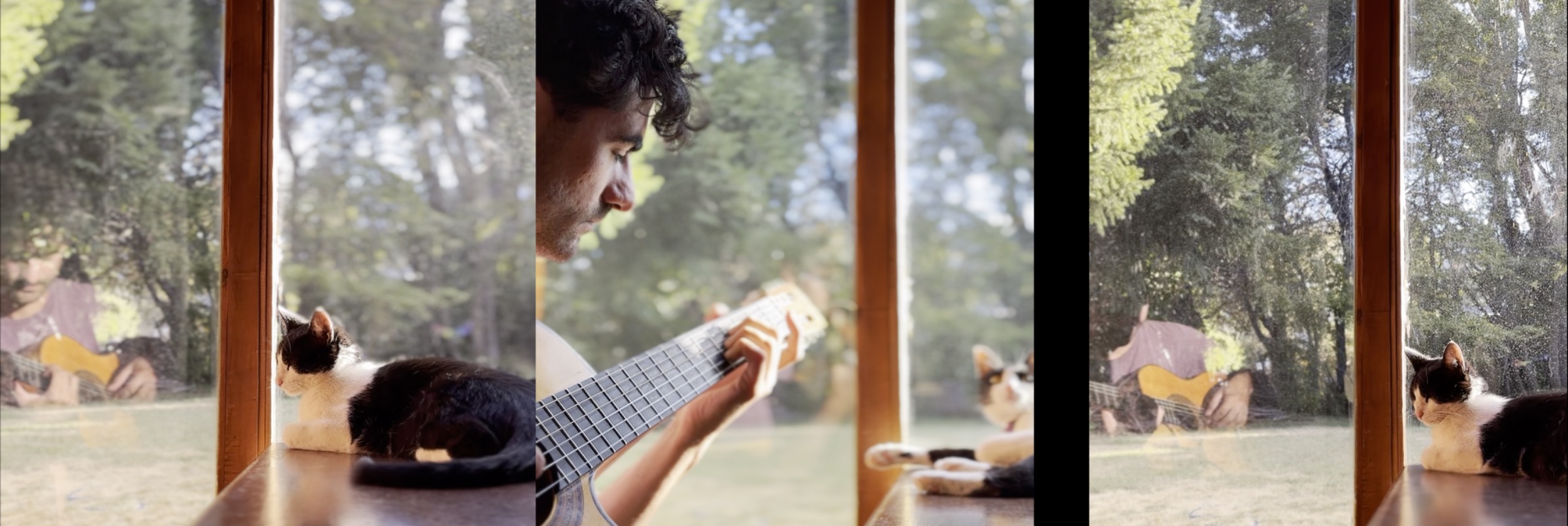 MI MÚSICA